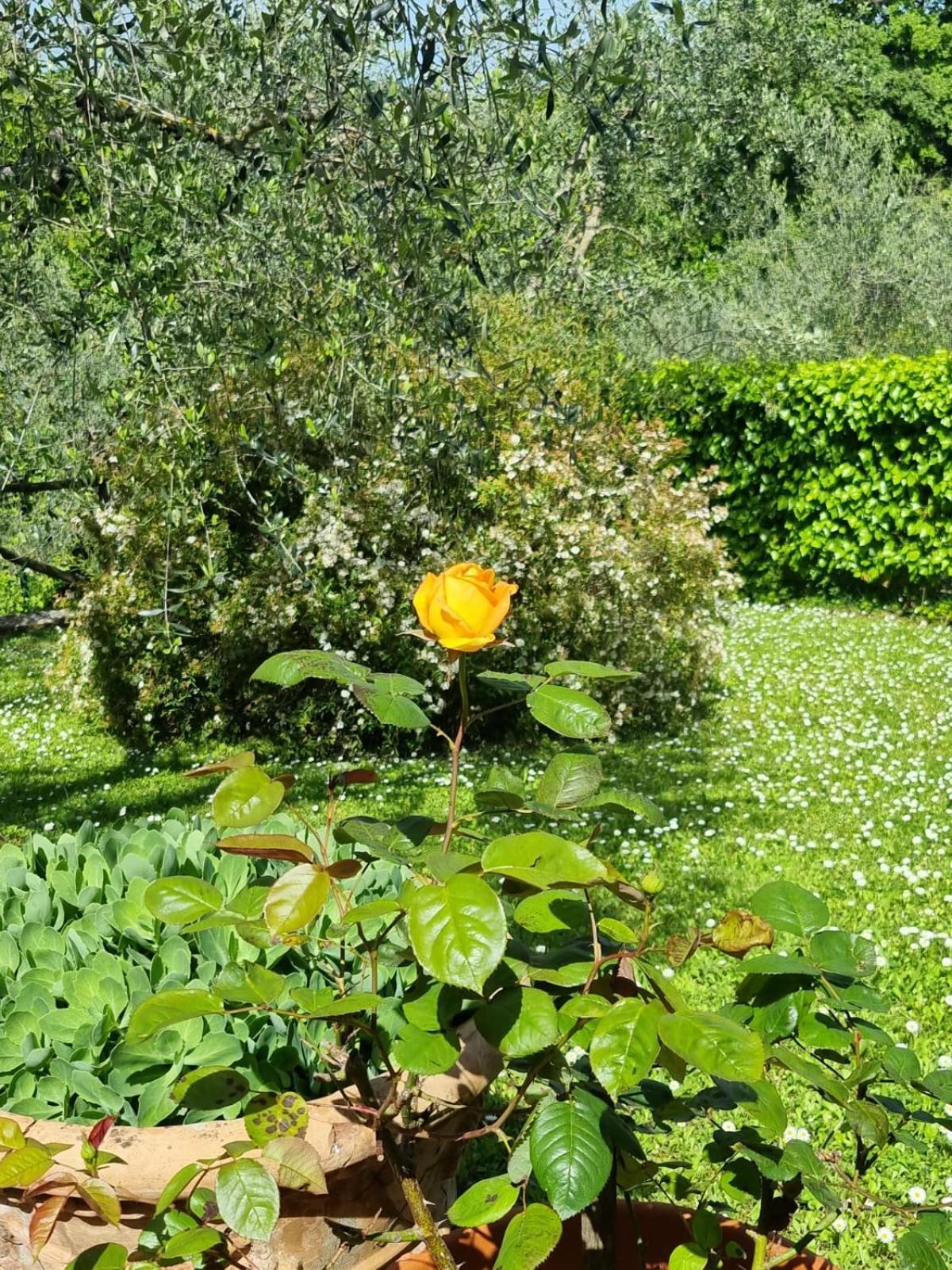 Dimora Nel Chianti Guest House San Sano Exterior photo